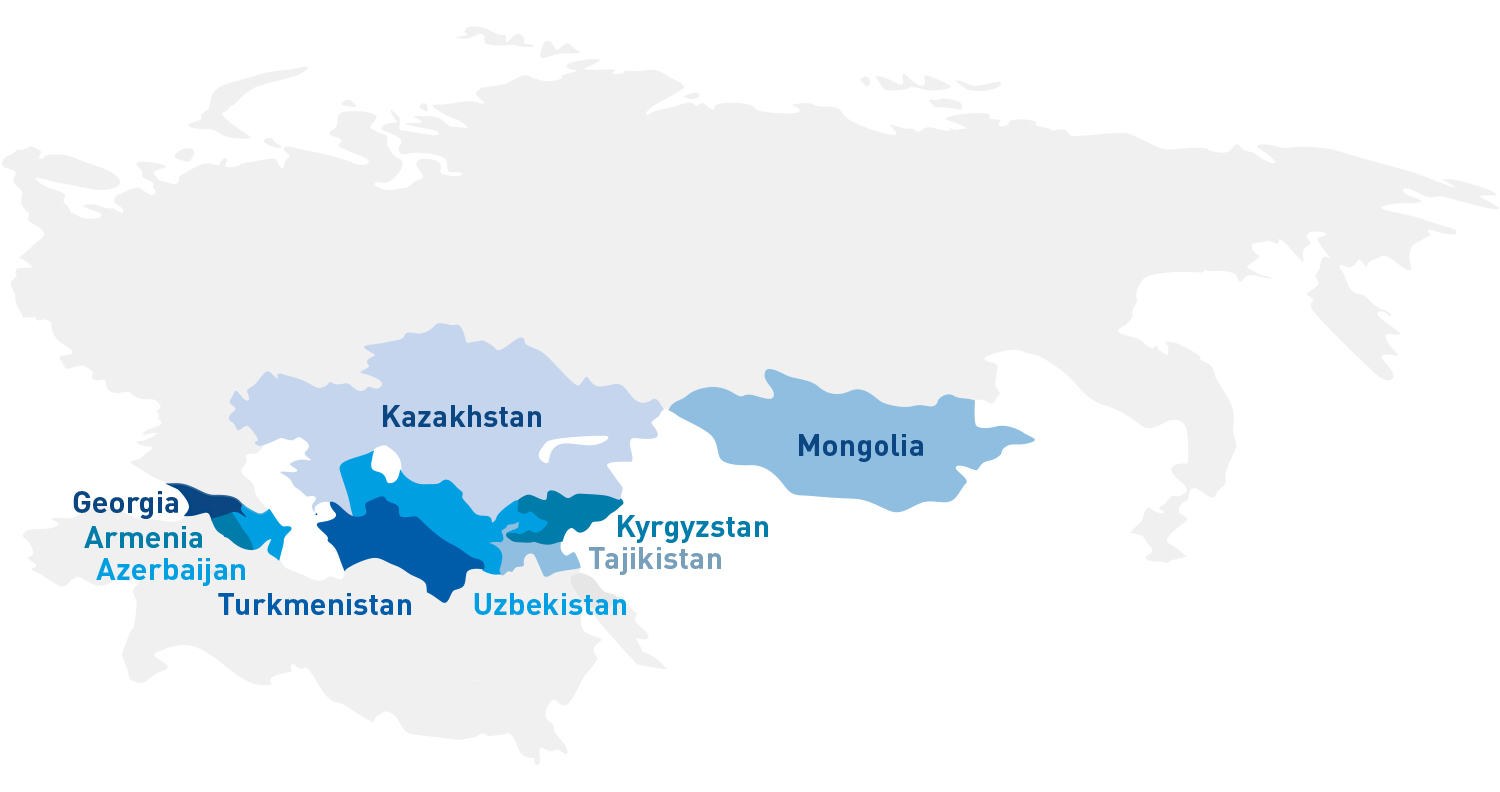 Карта_присутствия_Everonix